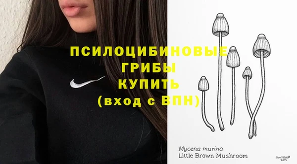 прущий лед Алексин