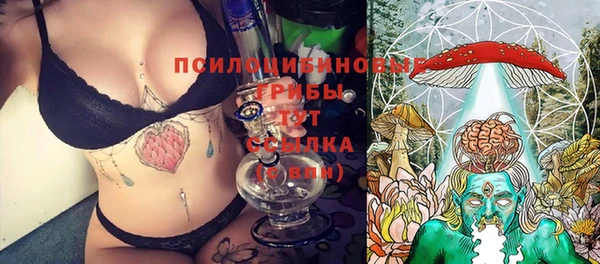 трава Алзамай