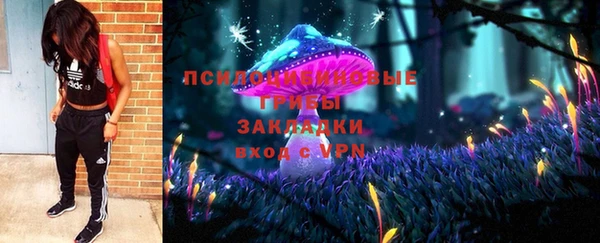 прущий лед Алексин