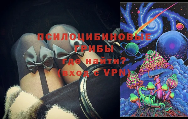 дурь Алексеевка
